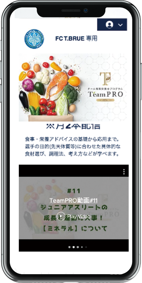 TeamProのチーム専用ウェブサイト